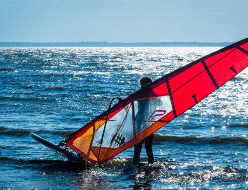 Adrian wind surfing 12-5-24